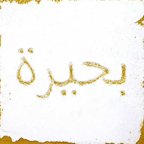 Arabic - Lake & Water Glyphs - Fluid Pixels Series Sgraffito Fresco